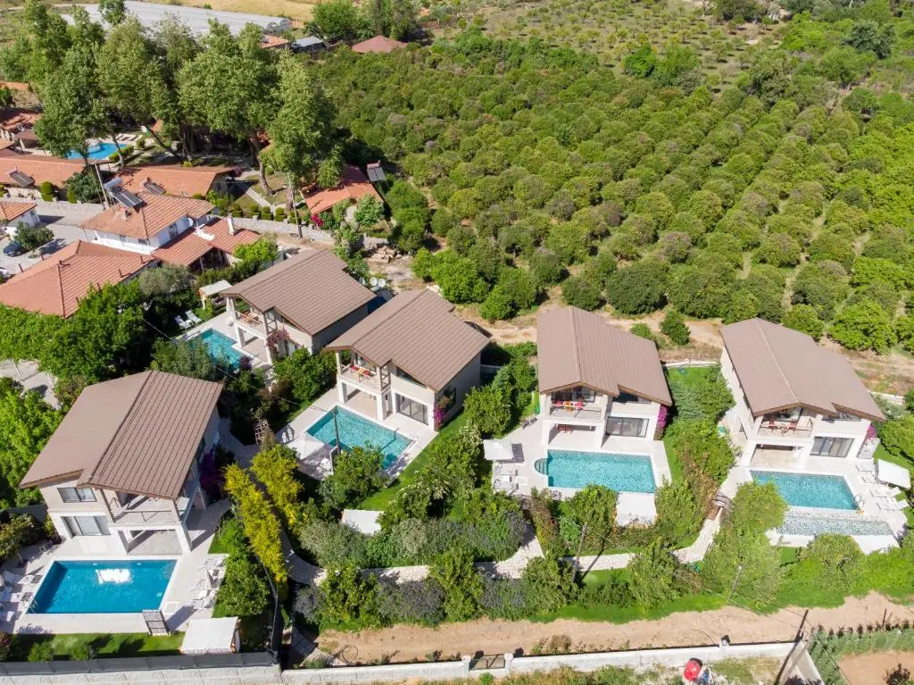 Homes in Yaniklar